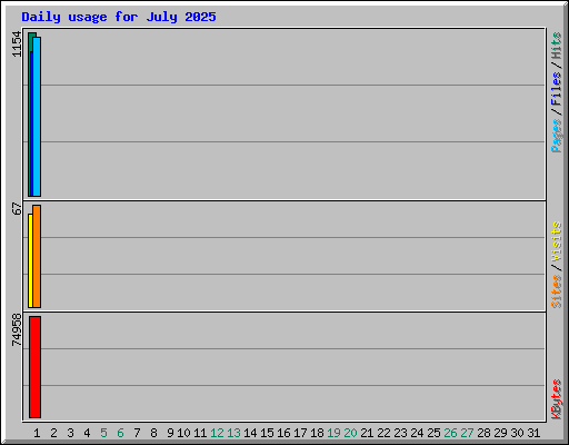 Daily usage for July 2025