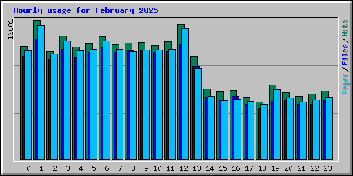Hourly usage for February 2025