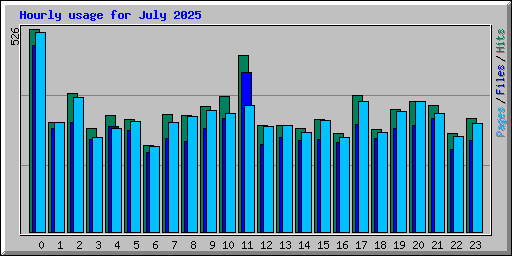 Hourly usage for July 2025
