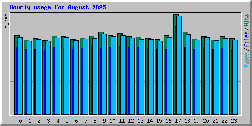 Hourly usage for August 2025