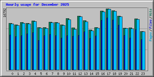 Hourly usage for December 2025
